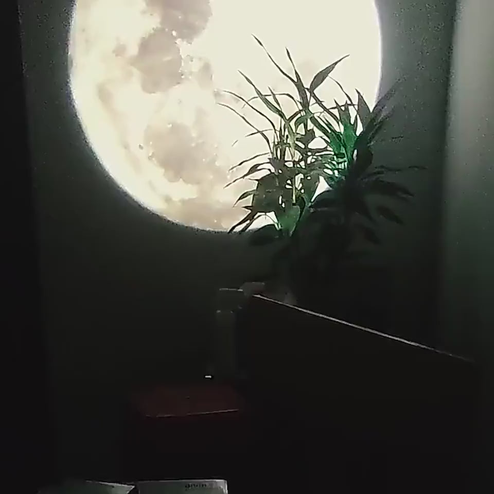 Moon Earth Projector Night Light Sunset Projection